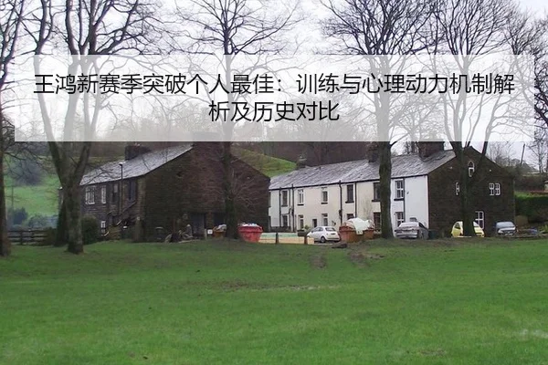 王鸿新赛季突破个人最佳：训练与心理动力机制解析及历史对比